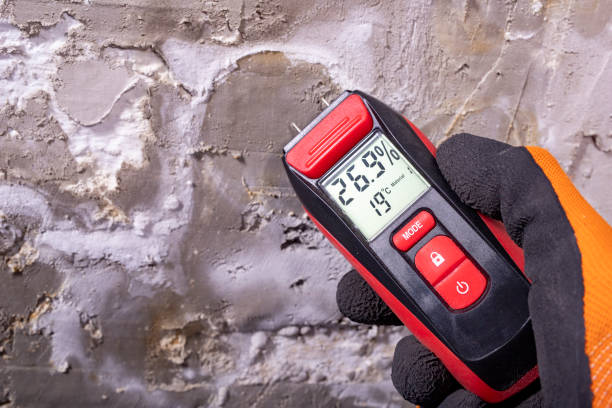 Best Residential Mold Removal  in Goldendale, WA