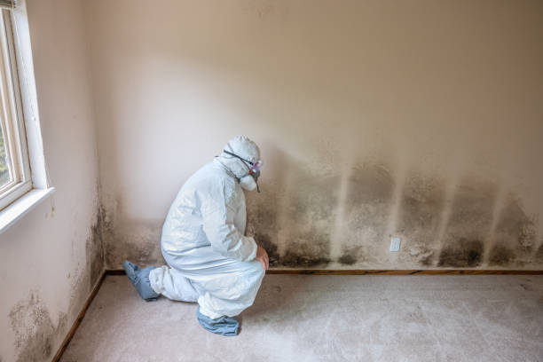 Best Mold Removal and Inspection  in Goldendale, WA