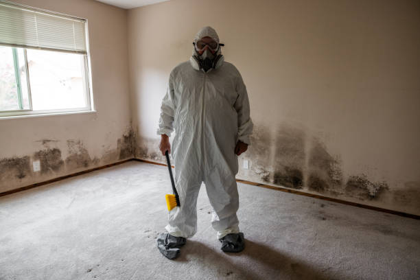 Best Mold Cleaning Services  in Goldendale, WA