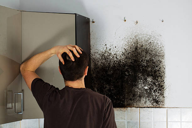 Best Black Mold Removal  in Goldendale, WA
