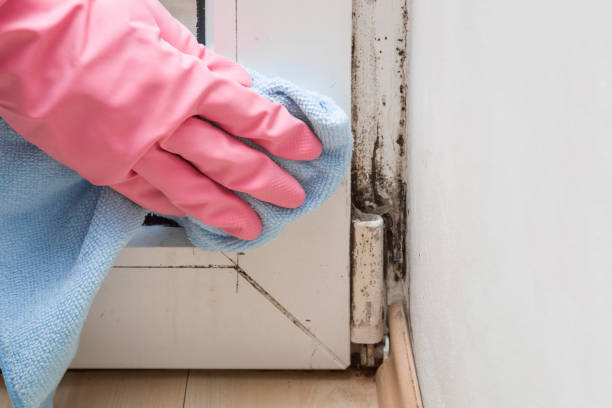 Best Mold Testing  in Goldendale, WA