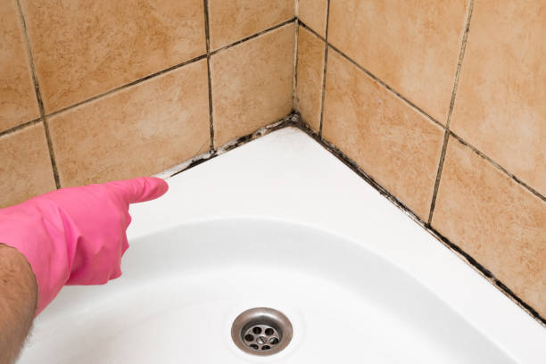 Best Crawl Space Mold Removal  in Goldendale, WA